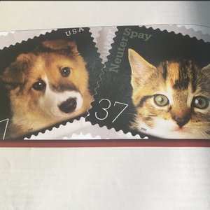 91美女㊙️片漫画
